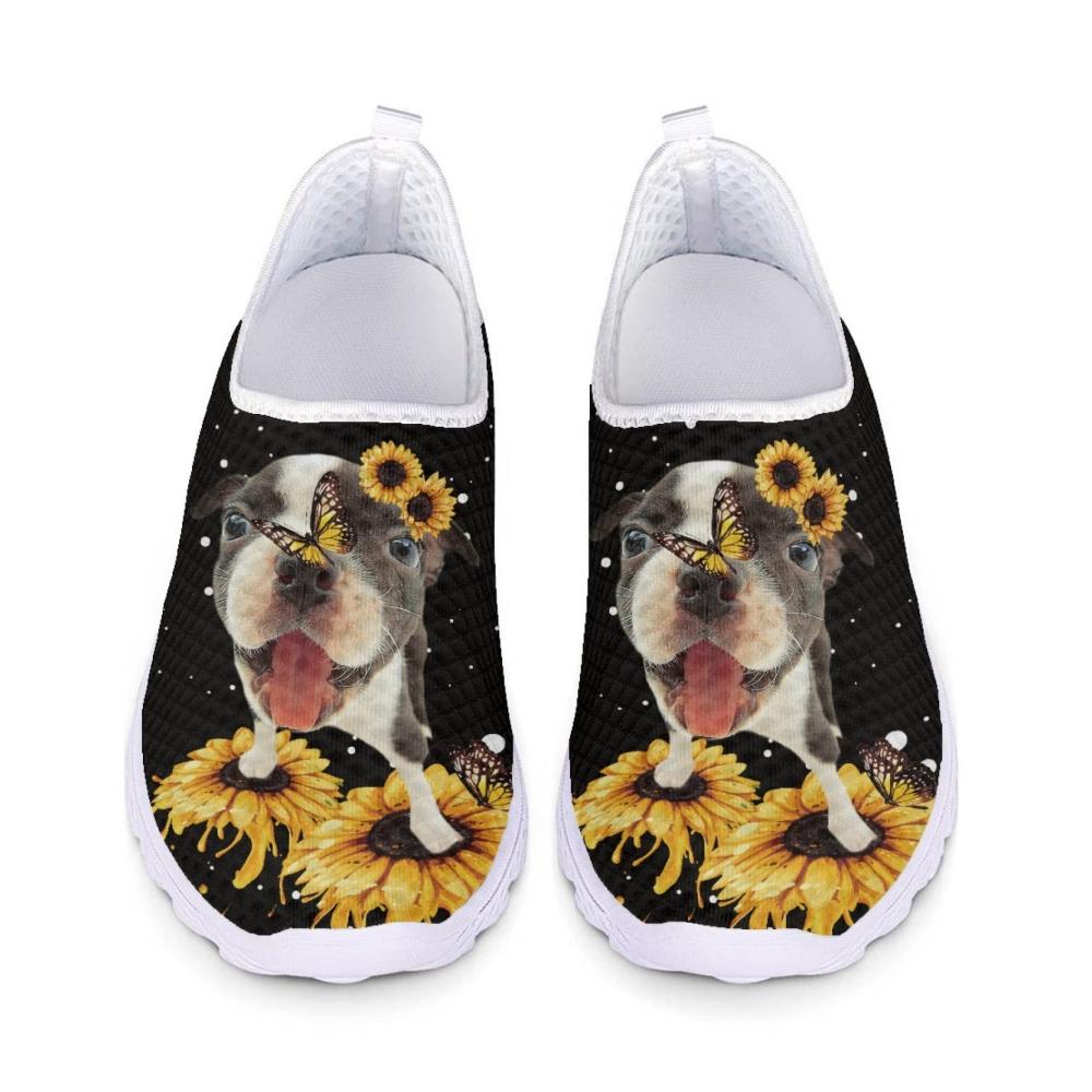 Sunflower Dog