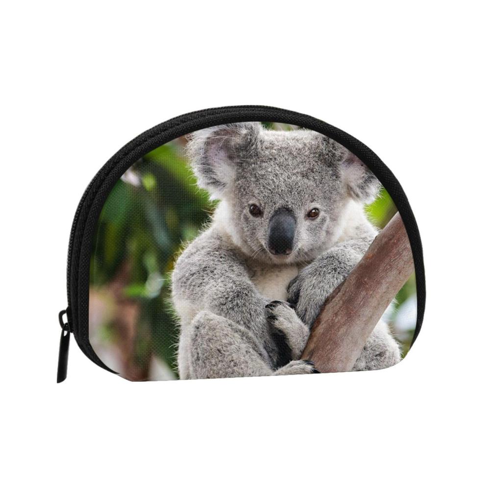 Süßer Koala